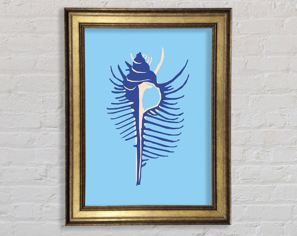 Big Blue Shell Framed Print