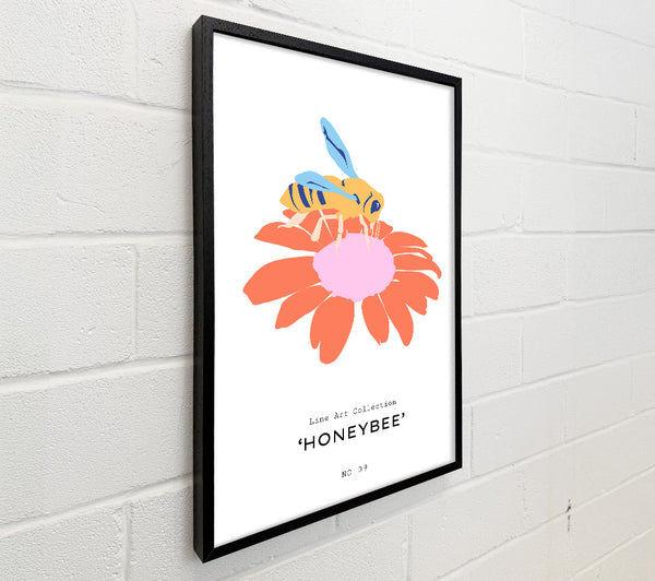 Modern Honey Bee