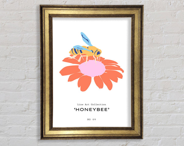 Modern Honey Bee Framed Print