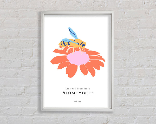 Moderne Honigbiene