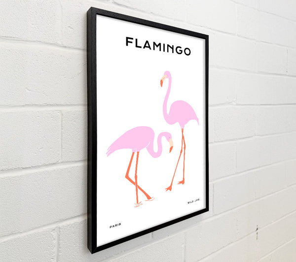 Pink Flamingo