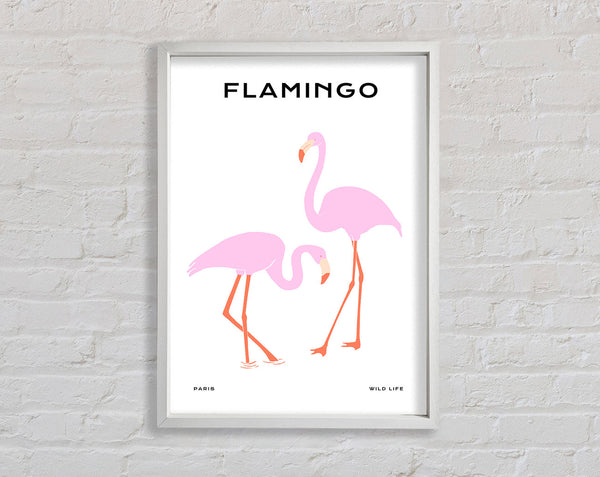 Pink Flamingo Framed Print