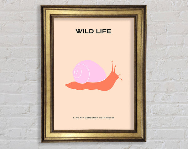 Art Snail Framed Print