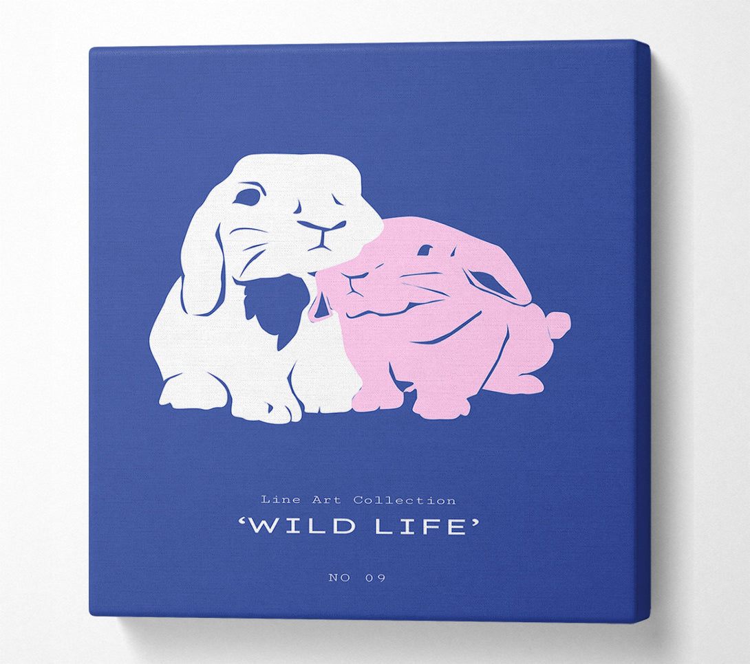  A Canvas Print of Bunny Rabbit Cuddle Canvas Art