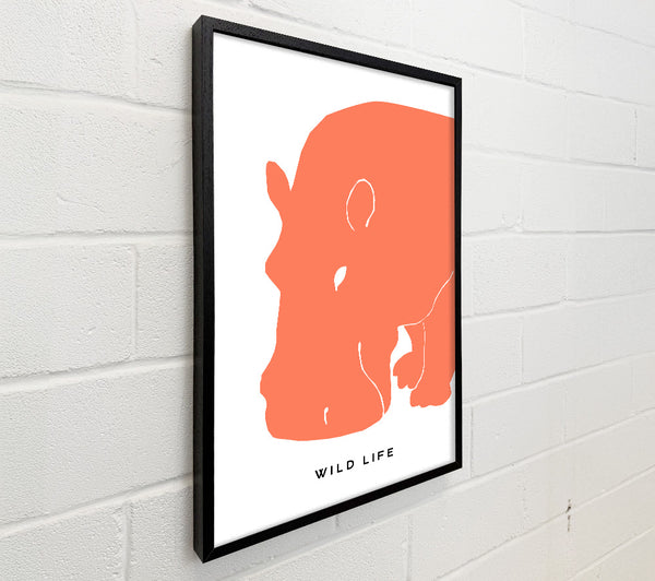 Orange Hippo