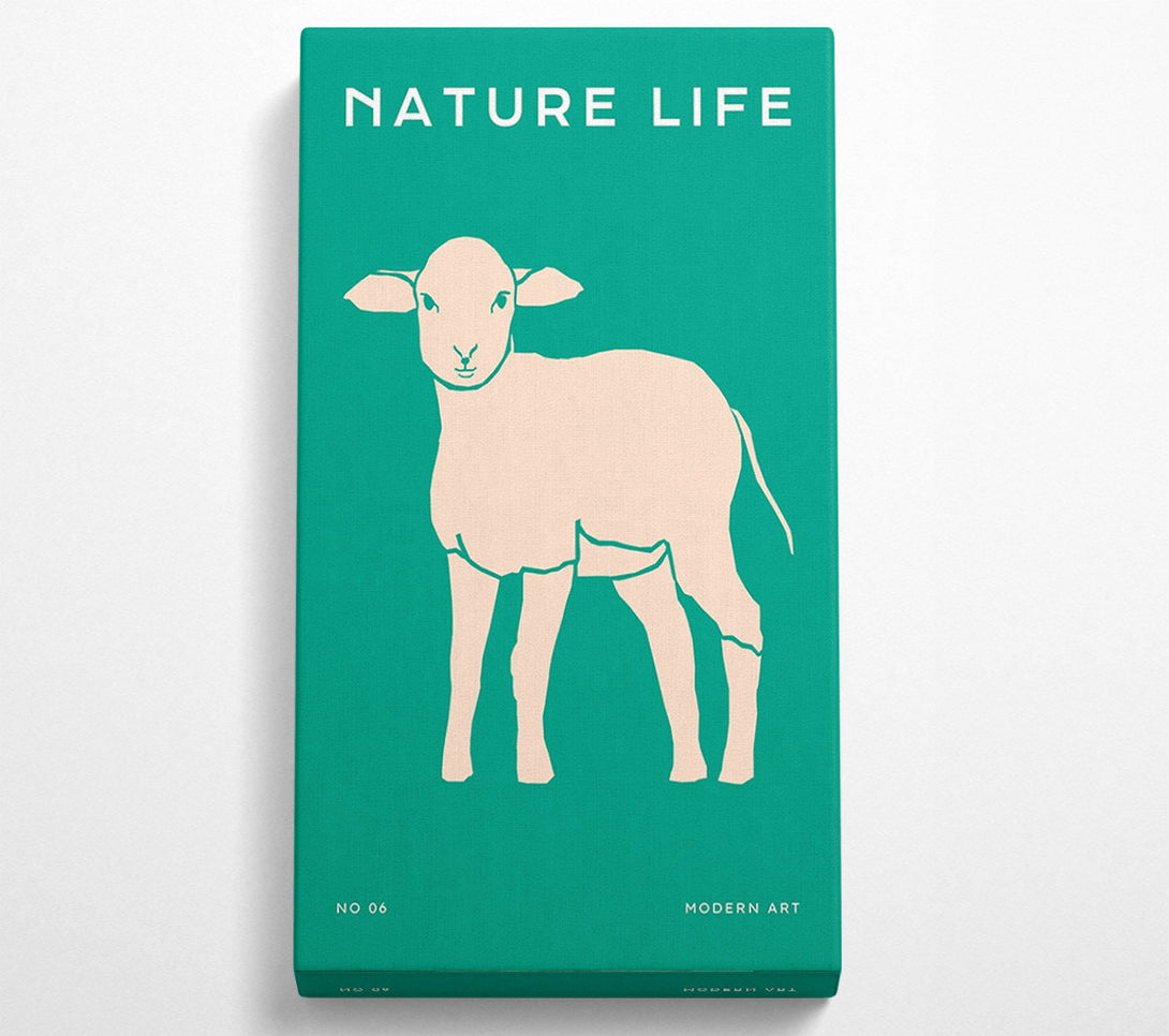  A Canvas Print of The Little Lamb Canvas Wall Art