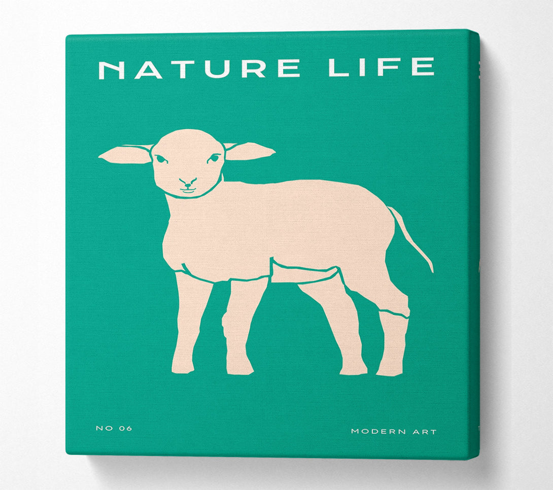  A Canvas Print of The Little Lamb Canvas Wall Art