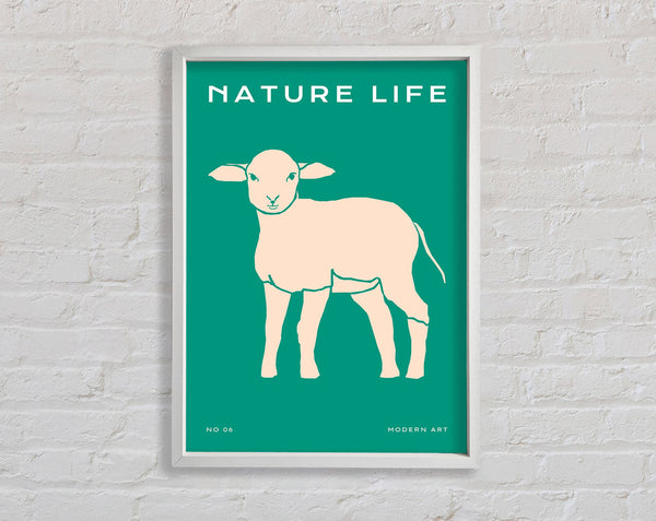 The Little Lamb Framed Print