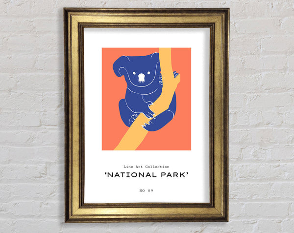 Koala On A Branch Framed Print