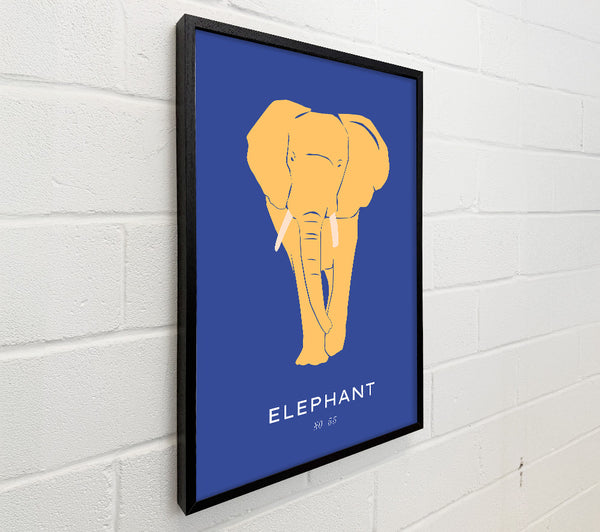 Bold Elephant