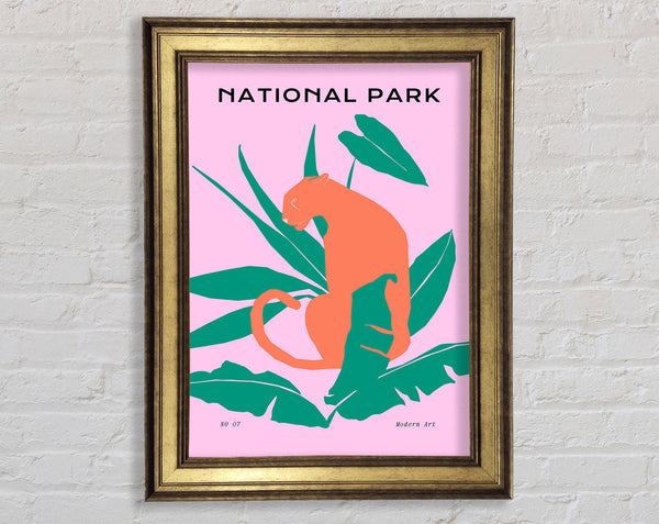 Jaguar In Wait Framed Print