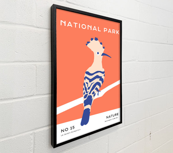 National Park Bird