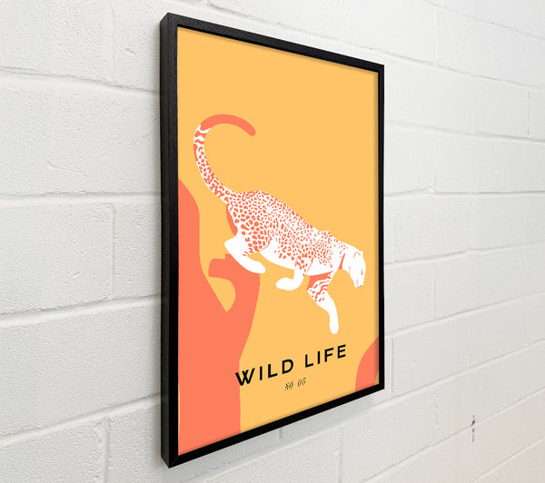Leopard Leap