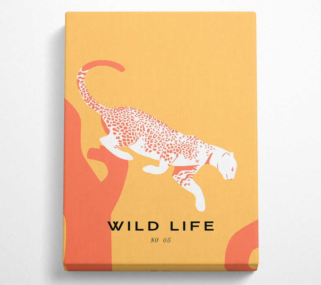  A Canvas Print of Leopard Leap Canvas Art