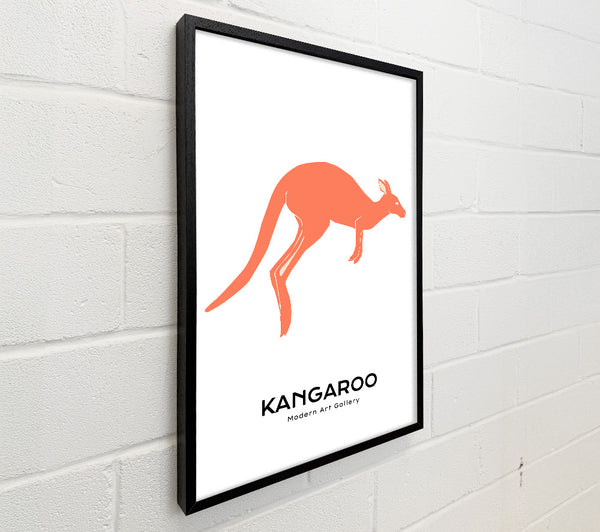 Kangaroo Bounce