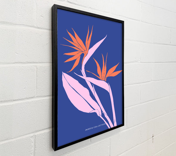 Bird Of Paradise Flower