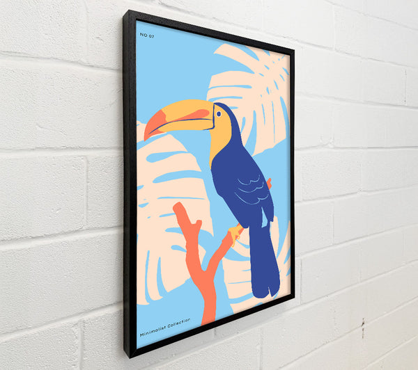 Paradise Toucan