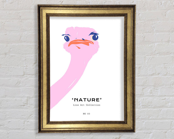 Peaking Ostridge Framed Print