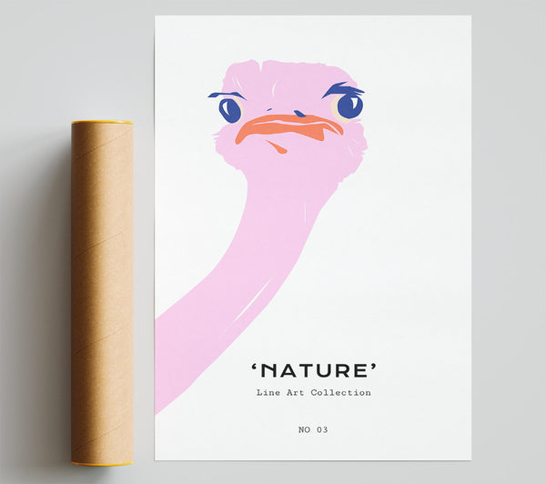 Peaking Ostridge Poster