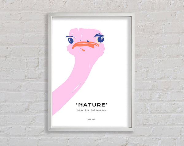 Peaking Ostridge Framed Print