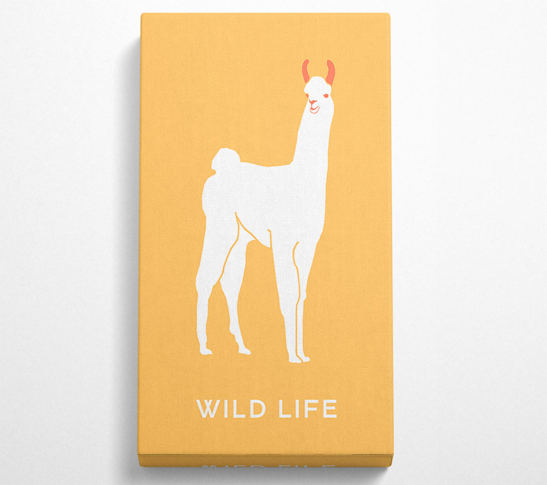  A Canvas Print of Alpaca Stance Canvas Art