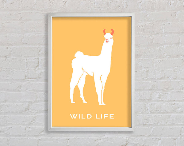 Alpaca Stance Framed Print