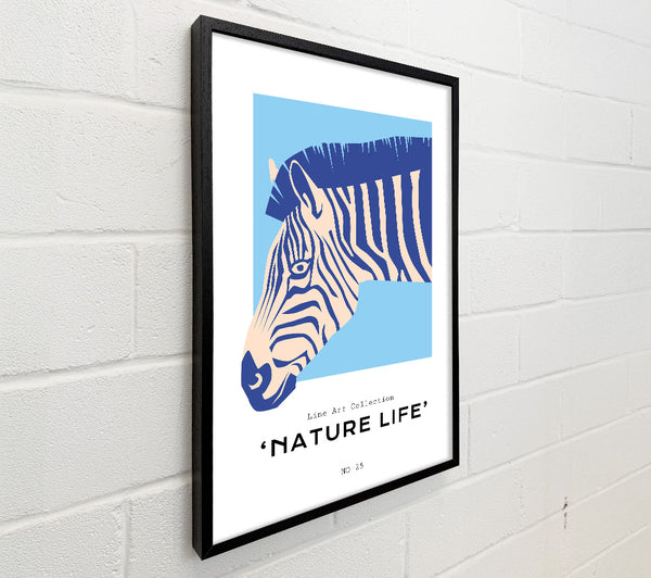 Zebra Nature