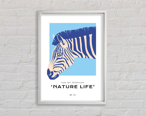 Zebra Nature