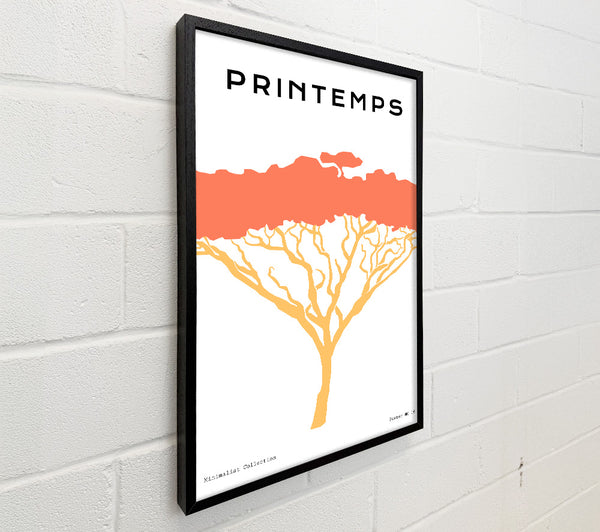 African Tree Orange