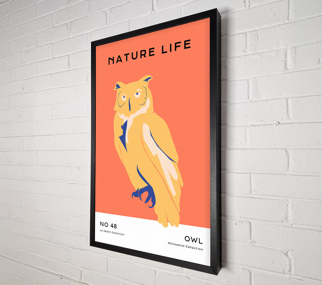  A Canvas Print of The Wise Owl Canvas Art