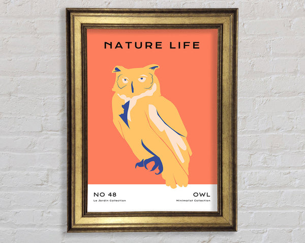 The Wise Owl Framed Print