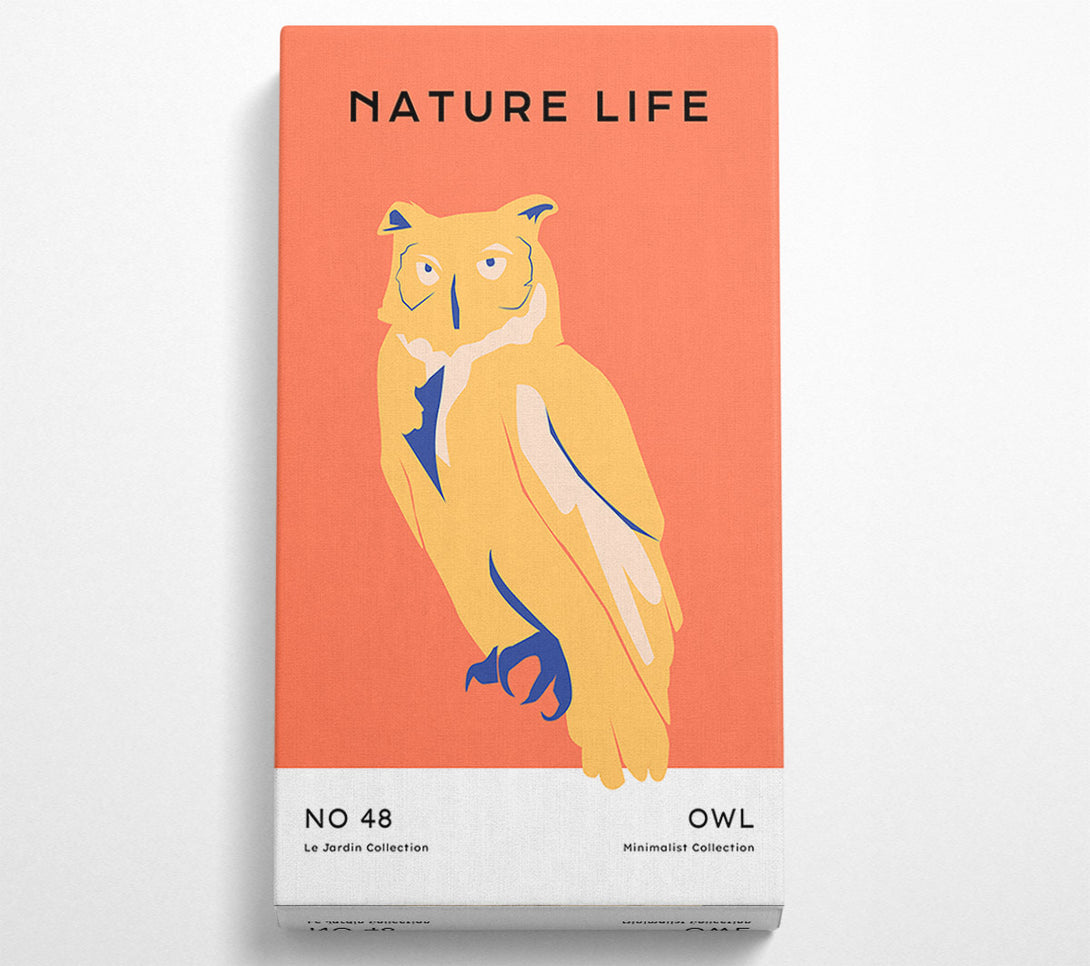  A Canvas Print of The Wise Owl Canvas Art