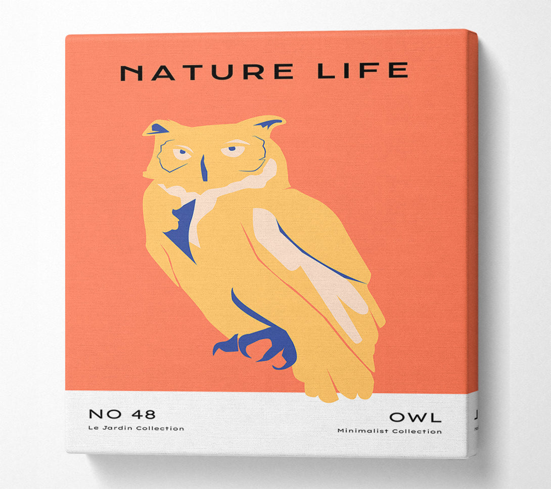  A Canvas Print of The Wise Owl Canvas Art
