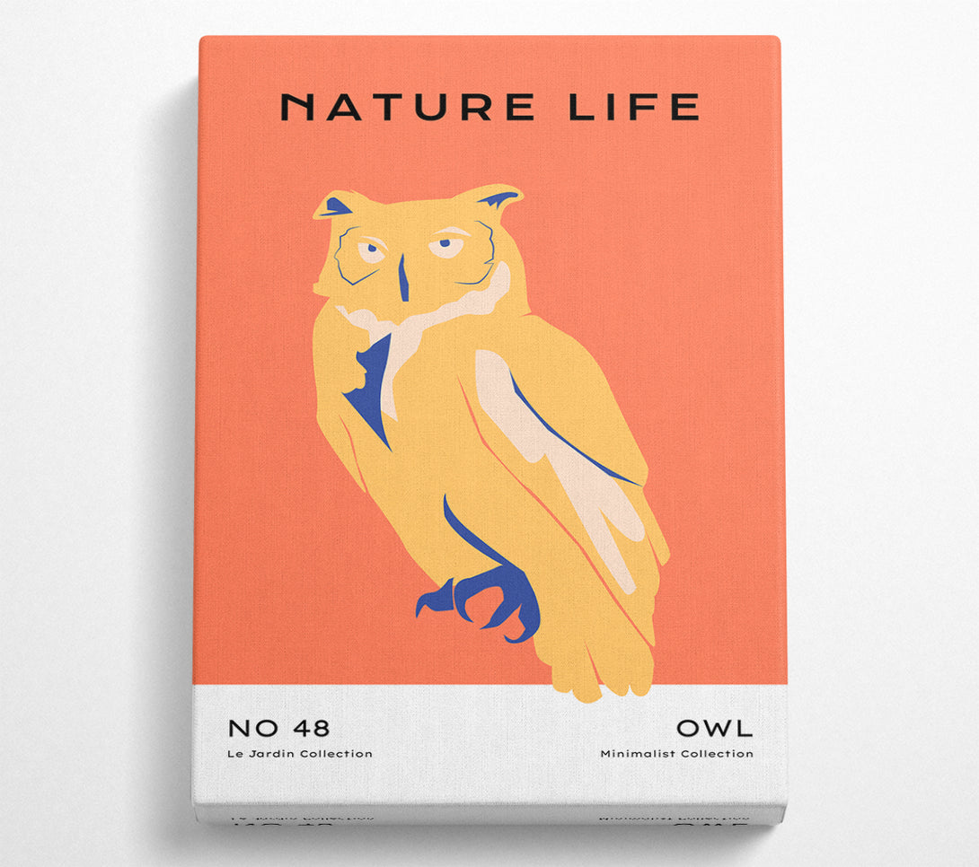  A Canvas Print of The Wise Owl Canvas Art