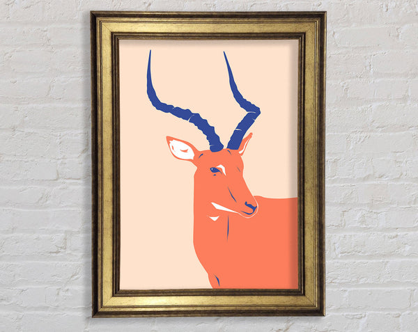 Beautiful Impala Framed Print