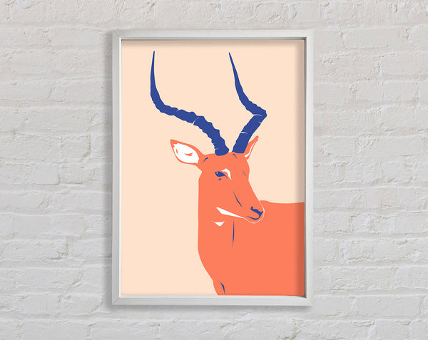 Wunderschöner Impala
