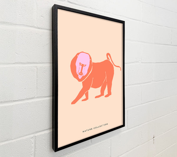 Orange Mandrill