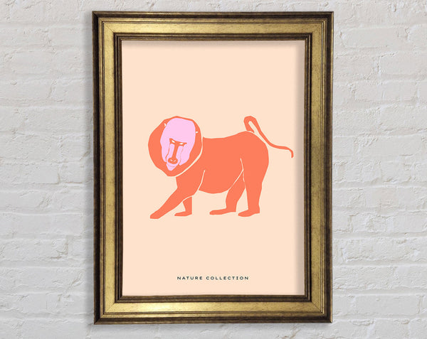 Orange Mandrill Framed Print