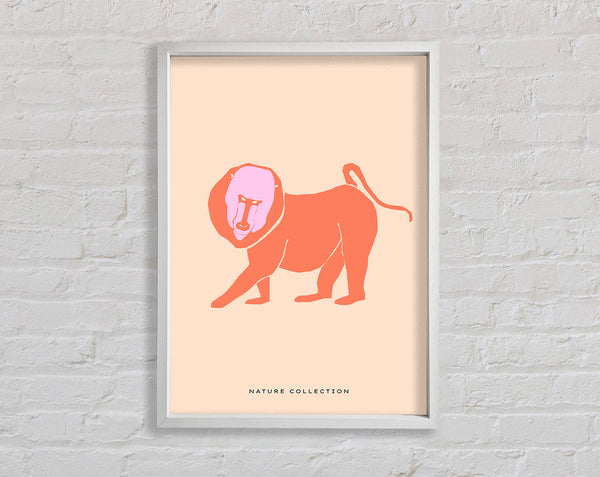 Orange Mandrill Framed Print