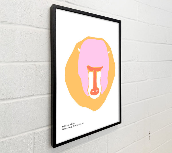 Mandrill Face
