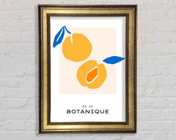 Yellow Peaches Framed Print