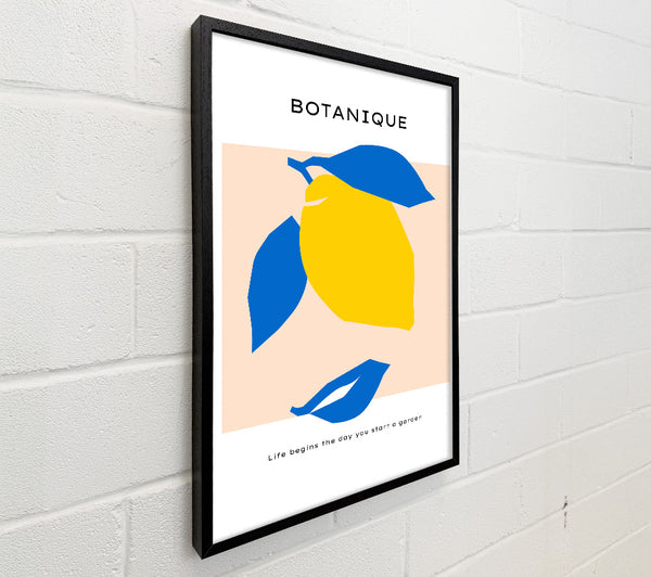Bohemian Lemon