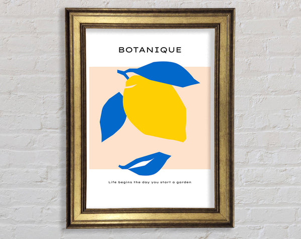 Bohemian Lemon Framed Print