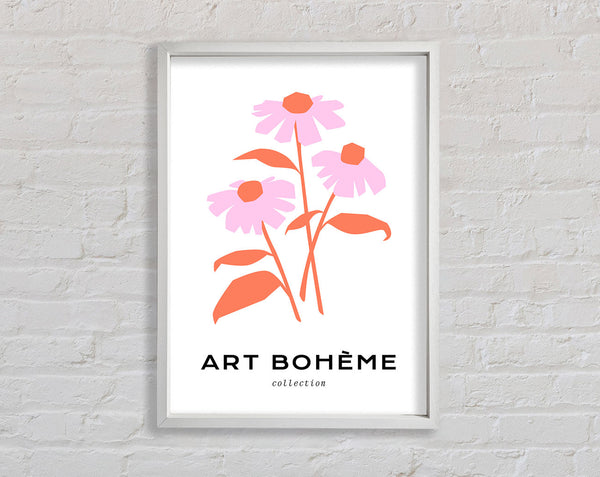 Die rosa Gänseblümchen