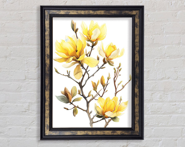 Autumn Flower Blossom Framed Print