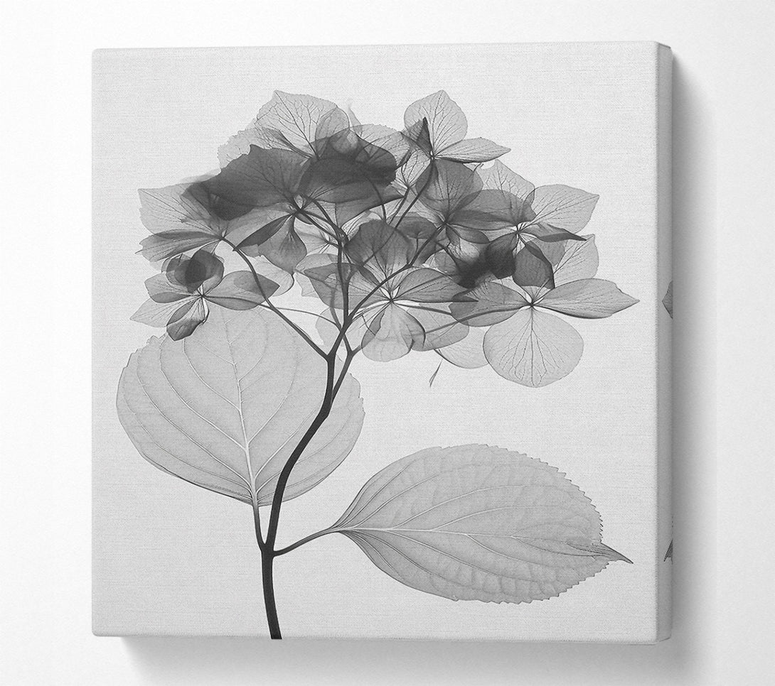  A Canvas Print of Autumn Leaf X-Ray Canvas Print