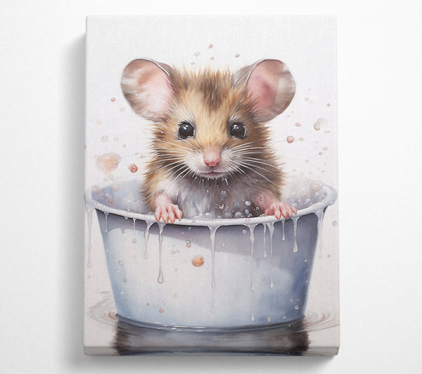 A Canvas Print of Baby Mouse Bath Canvas Art