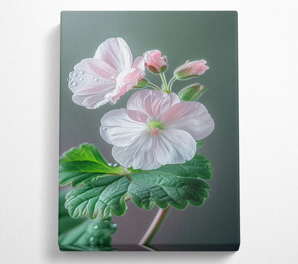  A Canvas Print of Beautiful Small Flowers Canvas Art