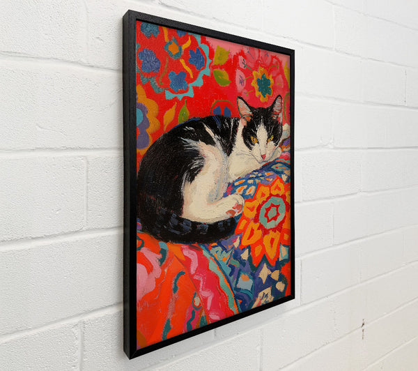 Black And White Cat