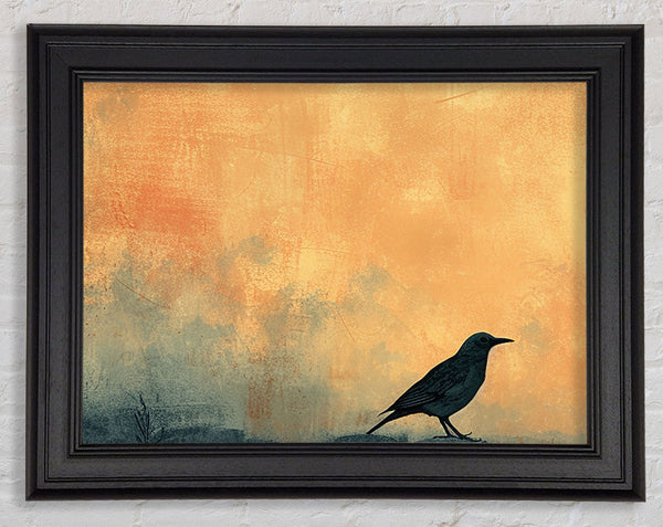 Black Bird Sunset Framed Print